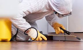 Best Real Estate Pest Inspections  in El Monte, CA